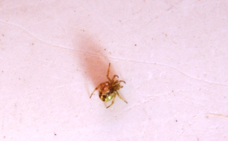 altri due da identificare